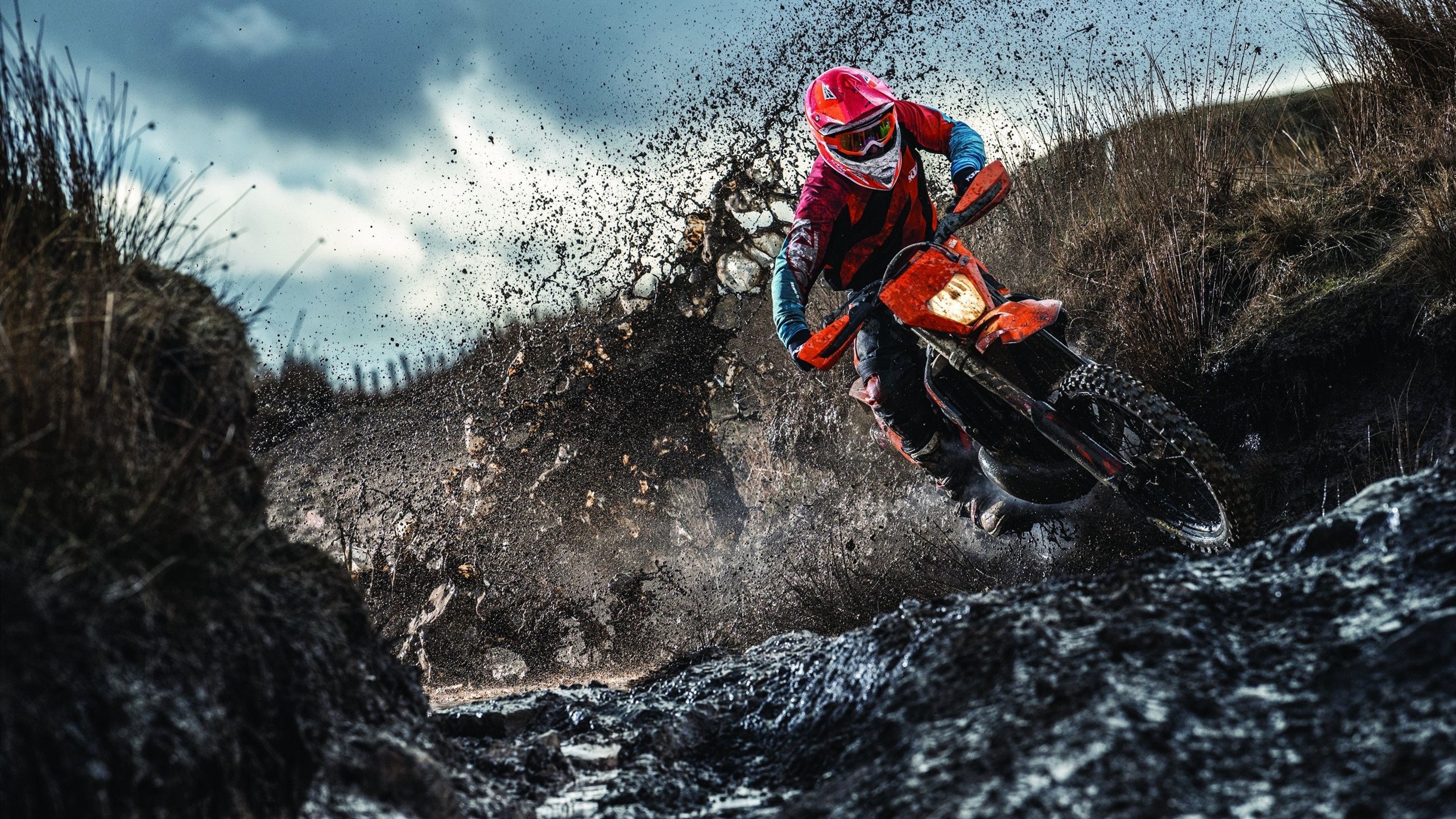 张雨霏参加公益游泳项目呼吁水安全，张雨霏游泳队领军人物